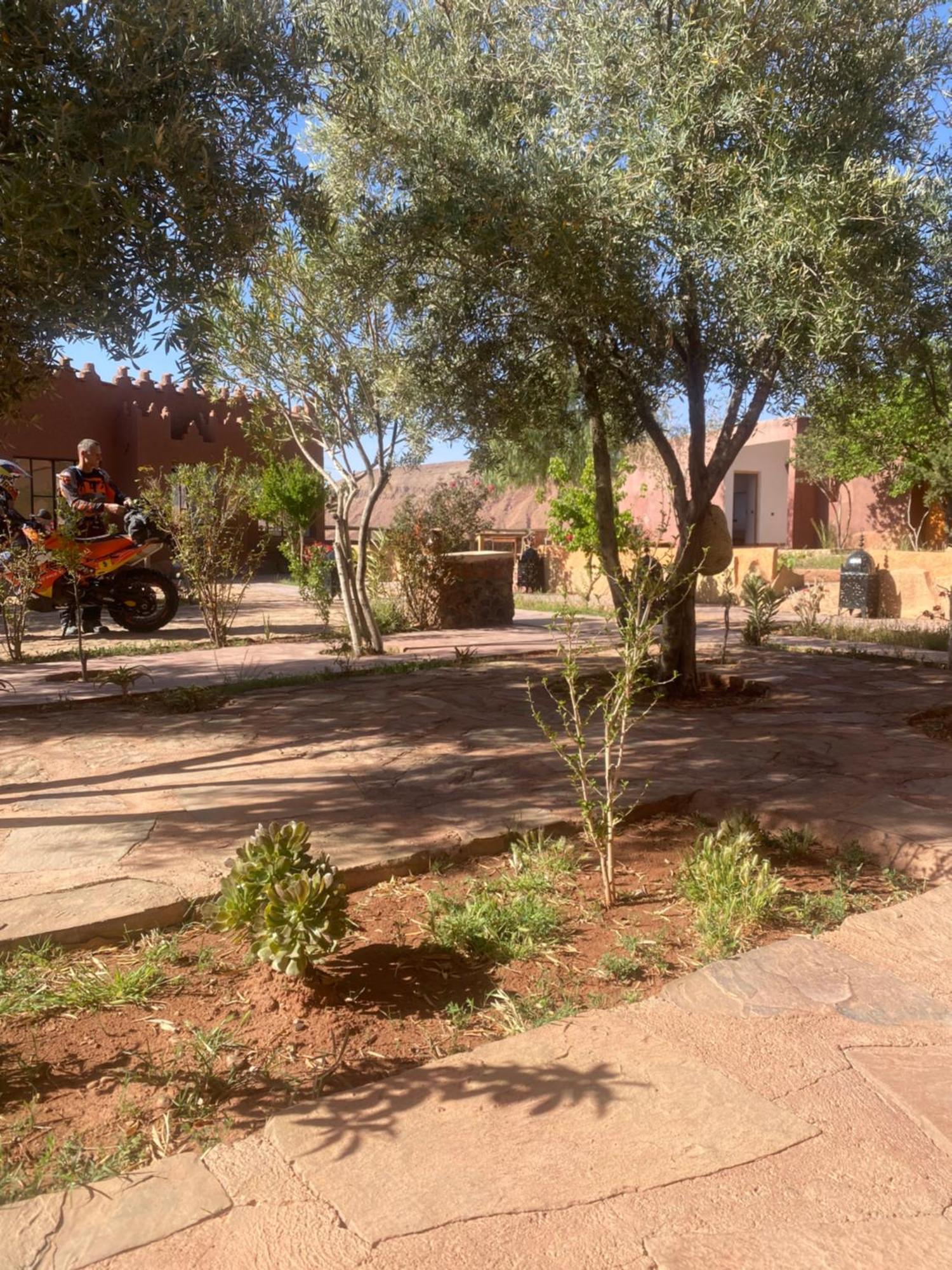 Riad Ecobio Ait Youl Luaran gambar